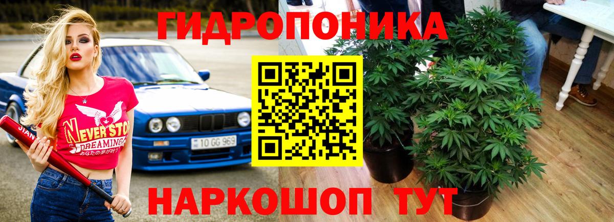 Бошки марихуана тримм  Вход с VPN  Кореновск  Каннабис марихуана 
